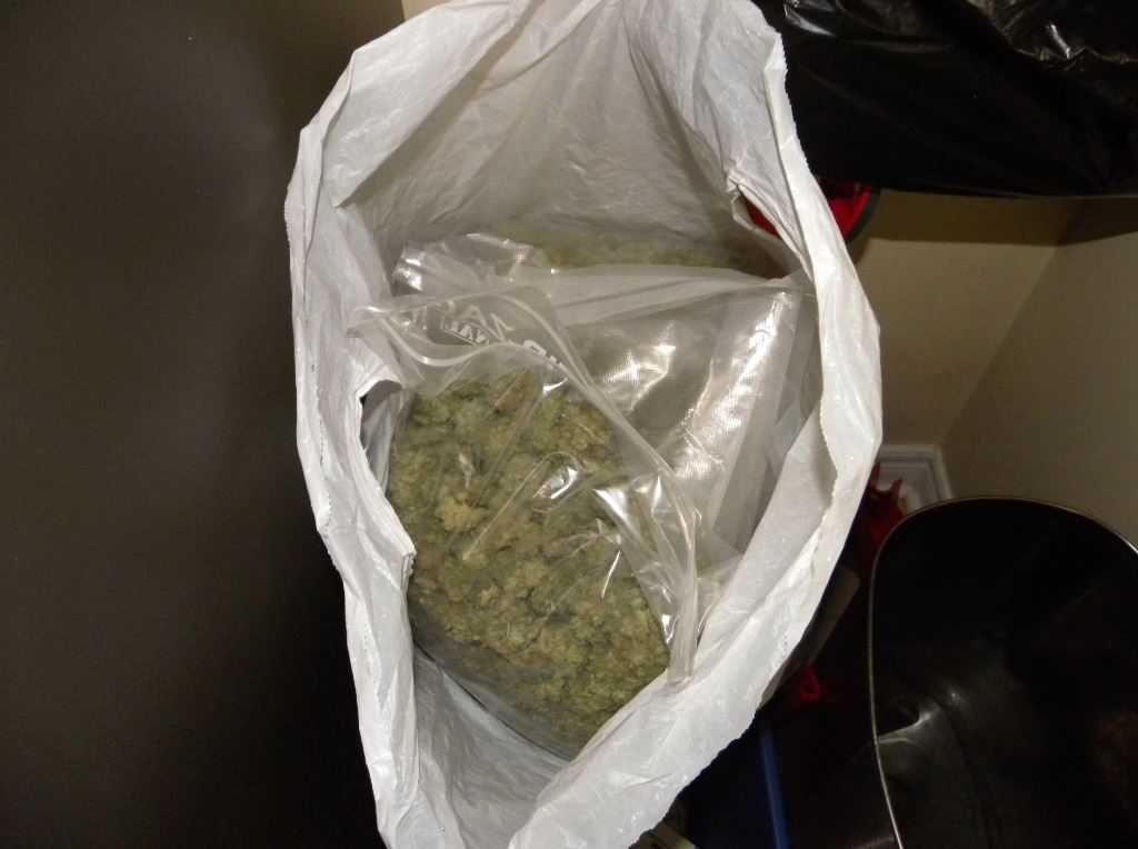Niagara Police Seize 150000 Worth Of Drugs And Cash Chch 