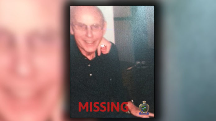 Niagara Police search for missing 87-year-old man - CHCH