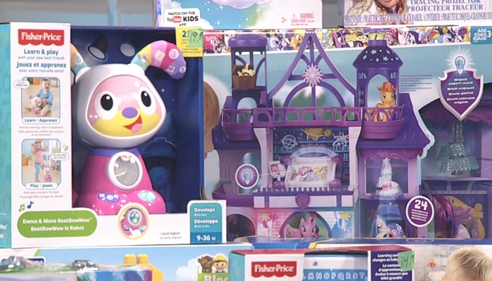 Sam and miko store toys