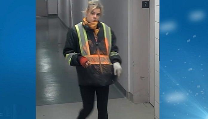 Woman Arrested In Connection With An Arson Investigation Chch 0595