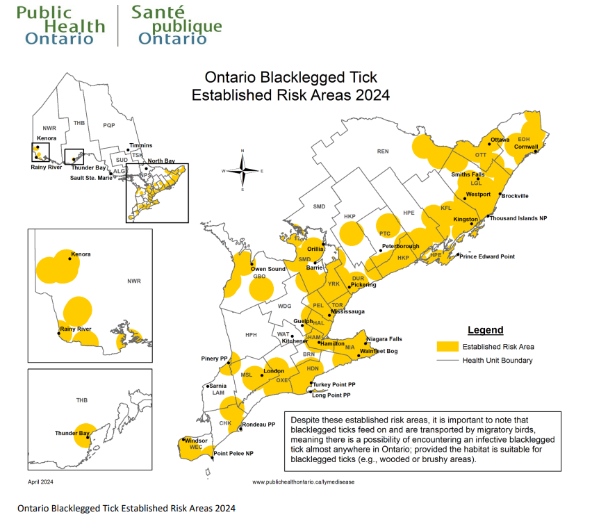 21 casi confermati di malattia di Lyme a maggio: Public Health Ontario