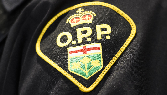 4 people found dead in Temiskaming Shores, Ont., house fire: OPP